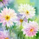 수채화 일러스트 이미지