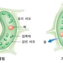 프라임구조
