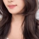 하비헤어 이미지