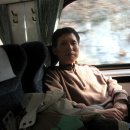 바람난 부부의 정선 5일장 기차여행... 이미지