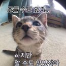 [피치트리 × ISDH] 원데이 디퓨저 클래스 후기