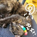 수북좋은약국 이미지