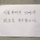 정선상회