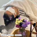 찜질살롱쉼 | 교방동 헤드스파 스왑느 프라이빗 두피관리 힐링