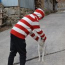 형택농장 이미지