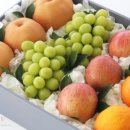 프루프루FRUFRU