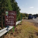 나우농장 이미지