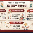손*권 네이버블로그