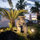 제주야자수정원수영장 올레돔 감성독채숙소 이미지