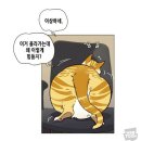 일렉시드