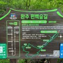 완주편백숲으로