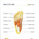 굿피트 이미지