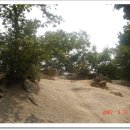 범골조기회 이미지