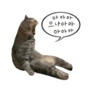 목포미즈아이병원 이미지