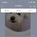 우주개스타 이미지