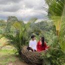 커피앤스윙 이미지