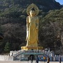 속리산 법주사 이미지