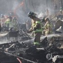 구룡전기 이미지