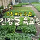 진장농장 이미지