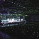 리코리아몰 이미지