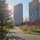 붓내공원 이미지