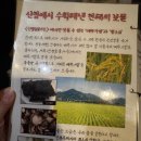 [을지로] 힙지로 을지로 맛집 산청숯불가든 을지로 2호점 별관 주말 예약 후기 핫플 맛있긴 맛있어