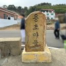 용초화장실 | 통영 고양이 학교 후기 용호도 가는 법 운영시간 휴무