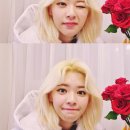 널;닮은꽃
