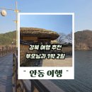 도청대로(풍천면) | 경북 여행 추천 안동 부모님과 1박2일 코스 총정리