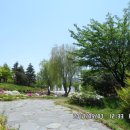 인천주원초등학교 이미지