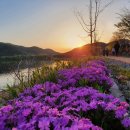 학마을캠프장 이미지