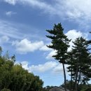 인원목장 | 제주 남원 대한목장 / 가족 스냅사진 촬영 내돈내산 만족 후기 / 촬영 소품 추천