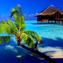 신기원건강 이미지