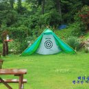 까치와 산토리나 이미지