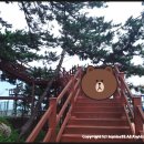 플로라모텔 이미지