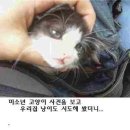 자세희 이미지