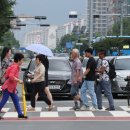 상남동229 이미지