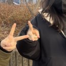 가위바위보쌈정식 이미지