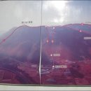 종자산 정상 이미지