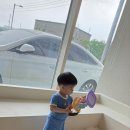 꼬숨도치
