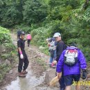 혜정농장 이미지