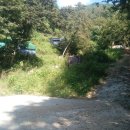 대전리목장 이미지