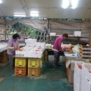 농부의딸 이미지