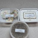 복산동-16 | 유아식_16개월 아기 프리미엄 수제 유아식 내돈내산 후기 맘트밀울산점