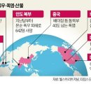 이변 이미지
