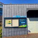 동춘당공원 맞은편 이미지