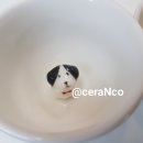 세라앤코