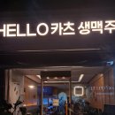 헬로카츠 이미지