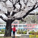 문암초등학교 이미지