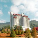 이랜드파크 켄싱턴 호텔 평창 이미지